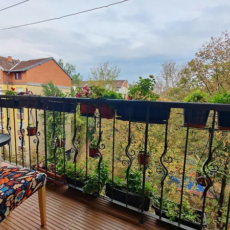 Apartment Petra Novi Sad